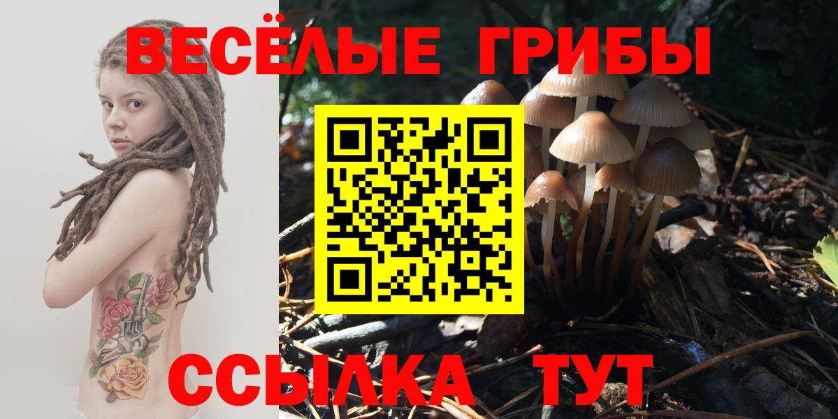Галлюциногенные грибы мицелий Куйбышев